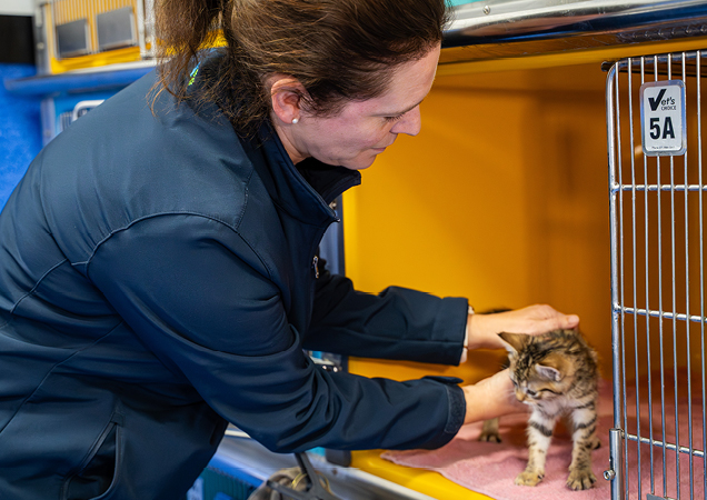 Dr Sam Strong with kitten.